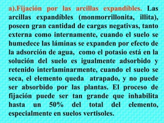 a).Fijación por las arcillas expandíbles. Las
arcillas expandíbles (monmorrillonita, illita),
poseen gran cantidad de cargas negativas, tanto
externa como internamente, cuando el suelo se
humedece las láminas se expanden por efecto de
la adsorción de agua, como el potasio está en la
solución del suelo es igualmente adsorbido y
retenido interlaminarmente, cuando el suelo se
seca, el elemento queda atrapado, y no puede
ser absorbido por las plantas. El proceso de
fijación puede ser tan grande que inhabilita
hasta un 50% del total del elemento,
especialmente en suelos vertisoles.
 