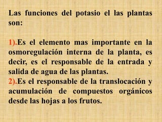 Las funciones del potasio el las plantas
son:
1).Es el elemento mas importante en la
osmoregulación interna de la planta, es
decir, es el responsable de la entrada y
salida de agua de las plantas.
2).Es el responsable de la translocación y
acumulación de compuestos orgánicos
desde las hojas a los frutos.
 