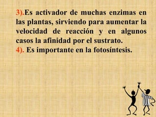 3).Es activador de muchas enzimas en
las plantas, sirviendo para aumentar la
velocidad de reacción y en algunos
casos la afinidad por el sustrato.
4). Es importante en la fotosíntesis.
 