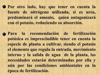 Por otro lado, hay que tener en cuenta la
fuente de nitrógeno utilizada, si es urea,
predominará el amonio, quien antagonizará
con el potasio, reduciendo su absorción.
Para la recomendación de fertilización
potásica es imprescindible tener en cuenta la
especie de planta a cultivar, siendo el potasio
el elemento que regula la entrada, movimiento
interno y la salida de agua de la planta, las
necesidades estarán determinadas por ella y
aún por las condiciones ambientales en la
época de fertilización.
 