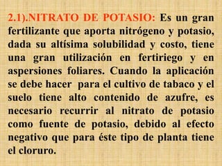 2.1).NITRATO DE POTASIO: Es un gran
fertilizante que aporta nitrógeno y potasio,
dada su altísima solubilidad y costo, tiene
una gran utilización en fertiriego y en
aspersiones foliares. Cuando la aplicación
se debe hacer para el cultivo de tabaco y el
suelo tiene alto contenido de azufre, es
necesario recurrir al nitrato de potasio
como fuente de potasio, debido al efecto
negativo que para éste tipo de planta tiene
el cloruro.
 
