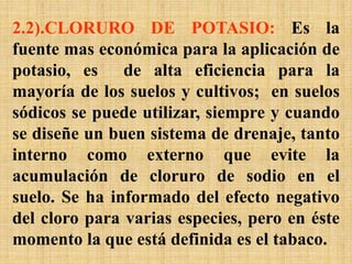 2.2).CLORURO DE POTASIO: Es la
fuente mas económica para la aplicación de
potasio, es de alta eficiencia para la
mayoría de los suelos y cultivos; en suelos
sódicos se puede utilizar, siempre y cuando
se diseñe un buen sistema de drenaje, tanto
interno como externo que evite la
acumulación de cloruro de sodio en el
suelo. Se ha informado del efecto negativo
del cloro para varias especies, pero en éste
momento la que está definida es el tabaco.
 
