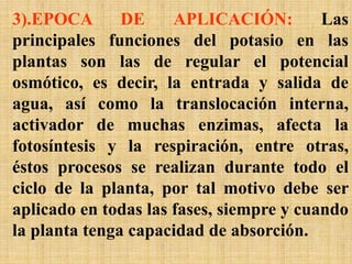 3).EPOCA DE APLICACIÓN: Las
principales funciones del potasio en las
plantas son las de regular el potencial
osmótico, es decir, la entrada y salida de
agua, así como la translocación interna,
activador de muchas enzimas, afecta la
fotosíntesis y la respiración, entre otras,
éstos procesos se realizan durante todo el
ciclo de la planta, por tal motivo debe ser
aplicado en todas las fases, siempre y cuando
la planta tenga capacidad de absorción.
 