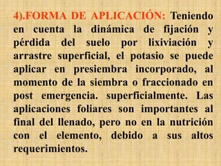 4).FORMA DE APLICACIÓN: Teniendo
en cuenta la dinámica de fijación y
pérdida del suelo por lixiviación y
arrastre superficial, el potasio se puede
aplicar en presiembra incorporado, al
momento de la siembra o fraccionado en
post emergencia. superficialmente. Las
aplicaciones foliares son importantes al
final del llenado, pero no en la nutrición
con el elemento, debido a sus altos
requerimientos.
 