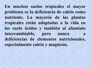 En muchos suelos tropicales el mayor
problema es la deficiencia de calcio como
nutriente. La mayoría de las plantas
tropicales están adaptadas a la vida en
los suelo ácidos y también al aluminio
intercambiable, pero nunca a
deficiencias de elementos nutricionales,
especialmente calcio y magnesio.
 