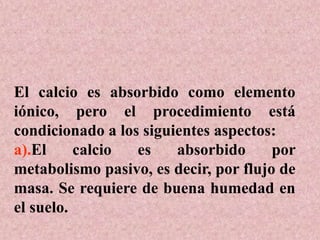 El calcio es absorbido como elemento
iónico, pero el procedimiento está
condicionado a los siguientes aspectos:
a).El calcio es absorbido por
metabolismo pasivo, es decir, por flujo de
masa. Se requiere de buena humedad en
el suelo.
 
