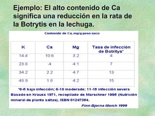 Ejemplo: El alto contenido de Ca
significa una reducción en la rata de
la Botrytis en la lechuga.
 
