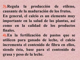 3).Regula la producción de etileno,
causante de la maduración de los frutos.
En general, el calcio es un elemento muy
importante en la salud de las plantas, así
como en la calidad de los productos
finales.
4).En la fertilización de pastos que se
utilicen para ganado de leche, el calcio
incrementa el contenido de fibra en ellos,
siendo ésta, base para el contenido de
grasa y peso de la leche.
 