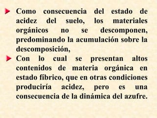 Como consecuencia del estado de
acidez del suelo, los materiales
orgánicos no se descomponen,
predominando la acumulación sobre la
descomposición,
Con lo cual se presentan altos
contenidos de materia orgánica en
estado fíbrico, que en otras condiciones
produciría acidez, pero es una
consecuencia de la dinámica del azufre.
 