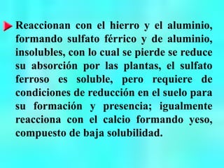 Reaccionan con el hierro y el aluminio,
formando sulfato férrico y de aluminio,
insolubles, con lo cual se pierde se reduce
su absorción por las plantas, el sulfato
ferroso es soluble, pero requiere de
condiciones de reducción en el suelo para
su formación y presencia; igualmente
reacciona con el calcio formando yeso,
compuesto de baja solubilidad.
 