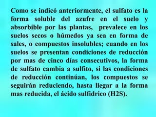 Como se indicó anteriormente, el sulfato es la
forma soluble del azufre en el suelo y
absorbible por las plantas, prevalece en los
suelos secos o húmedos ya sea en forma de
sales, o compuestos insolubles; cuando en los
suelos se presentan condiciones de reducción
por mas de cinco días consecutivos, la forma
de sulfato cambia a sulfito, si las condiciones
de reducción continúan, los compuestos se
seguirán reduciendo, hasta llegar a la forma
mas reducida, el ácido sulfidrico (H2S).
 