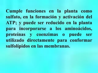Cumple funciones en la planta como
sulfato, en la formación y activación del
ATP; y puede ser reducido en la planta
para incorporarse a los aminoácidos,
proteínas y coenzimas o puede ser
utilizado directamente para conformar
sulfolípidos en las membranas.
 