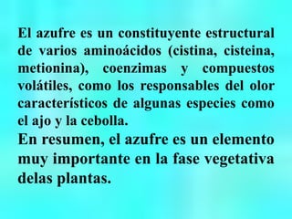 El azufre es un constituyente estructural
de varios aminoácidos (cistina, cisteina,
metionina), coenzimas y compuestos
volátiles, como los responsables del olor
característicos de algunas especies como
el ajo y la cebolla.
En resumen, el azufre es un elemento
muy importante en la fase vegetativa
delas plantas.
 
