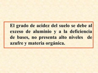 El grado de acidez del suelo se debe al
exceso de aluminio y a la deficiencia
de bases, no presenta alto niveles de
azufre y materia orgánica.
 