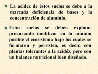 La acidez de éstos suelos se debe a la
marcada deficiencia de bases y la
concentración de aluminio.
Estos suelos se deben explotar
procurando modificar en lo mínimo
posible el ecosistema bajo los cuales se
formaron y persisten, es decir, con
plantas tolerantes a la acidéz, pero con
un balance nutricional bien diseñado.
 