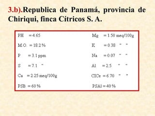3.b).Republica de Panamá, provincia de
Chiriqui, finca Cítricos S. A.
 
