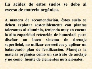 La acidez de estos suelos se debe al
exceso de materia orgánica.
A manera de recomendación, éstos suelo se
deben explotar sosteniblemente con plantas
tolerantes al aluminio, teniendo muy en cuenta
la alta capacidad retención de humedad para
diseñar un buen sistema de drenaje
superficial, no utilizar correctivos y aplicar un
balanceado plan de fertilización. Manejar la
materia orgánica como un sustrato de anclaje
y no como fuente de elementos nutricionales.
 