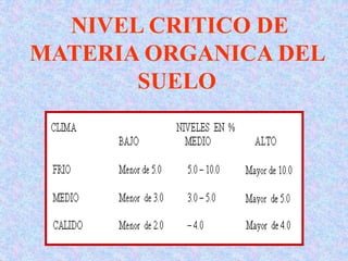 NIVEL CRITICO DE
MATERIA ORGANICA DEL
SUELO
 