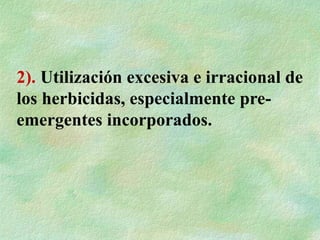 2). Utilización excesiva e irracional de
los herbicidas, especialmente pre-
emergentes incorporados.
 