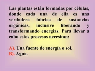 Las plantas están formadas por células,
donde cada una de ella es una
verdadera fábrica de sustancias
orgánicas, inclusive liberando y
transformando energías. Para llevar a
cabo estos procesos necesitan:
A). Una fuente de energía o sol.
B). Agua.
 