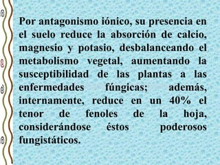 Por antagonismo iónico, su presencia en
el suelo reduce la absorción de calcio,
magnesio y potasio, desbalanceando el
metabolismo vegetal, aumentando la
susceptibilidad de las plantas a las
enfermedades fúngicas; además,
internamente, reduce en un 40% el
tenor de fenoles de la hoja,
considerándose éstos poderosos
fungistáticos.
 