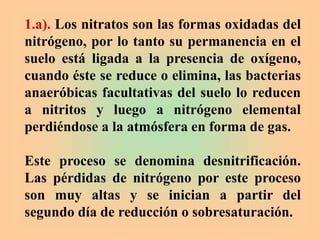 1.a). Los nitratos son las formas oxidadas del
nitrógeno, por lo tanto su permanencia en el
suelo está ligada a la presencia de oxígeno,
cuando éste se reduce o elimina, las bacterias
anaeróbicas facultativas del suelo lo reducen
a nitritos y luego a nitrógeno elemental
perdiéndose a la atmósfera en forma de gas.
Este proceso se denomina desnitrificación.
Las pérdidas de nitrógeno por este proceso
son muy altas y se inician a partir del
segundo día de reducción o sobresaturación.
 