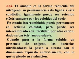 2.b). El amonio es la forma reducida del
nitrógeno, su permanencia está ligada a ésta
condición, igualmente puede ser retenido
eléctricamente por los coloides del suelo
En estado intercambiable puede permanecer
en retículo coloidal, pero puede ser
intercambiado con facilidad por otro catión,
dado su carácter monovalente.
Cuando pasa a la forma soluble, en
presencia de oxígeno, las bacterias
nitrificadoras lo pasan a nitrato con el
dinamismo expuesto anteriormente, con lo
que se pierde su evaluación.
 