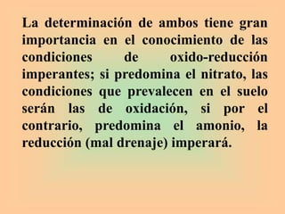 La determinación de ambos tiene gran
importancia en el conocimiento de las
condiciones de oxido-reducción
imperantes; si predomina el nitrato, las
condiciones que prevalecen en el suelo
serán las de oxidación, si por el
contrario, predomina el amonio, la
reducción (mal drenaje) imperará.
 