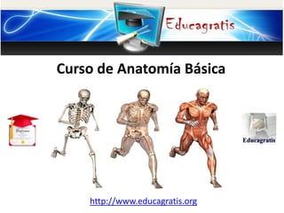 http://www.educagratis.org
Curso de Anatomía Básica
 
