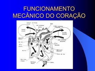 FUNCIONAMENTOFUNCIONAMENTO
MECÂNICO DO CORAÇÃOMECÂNICO DO CORAÇÃO
 