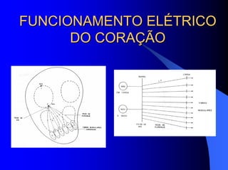 FUNCIONAMENTO ELÉTRICOFUNCIONAMENTO ELÉTRICO
DO CORAÇÃODO CORAÇÃO
 