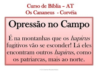   Curso de Bíblia – AT Os Cananeus  - CorvéiaOpressão no CampoÉ na montanhas que os hapirus fugitivos vão se esconder! Lá eles encontram outros hapirus, como os patriarcas, mais ao norte.P. Dr. Everton Ricardo Bootz