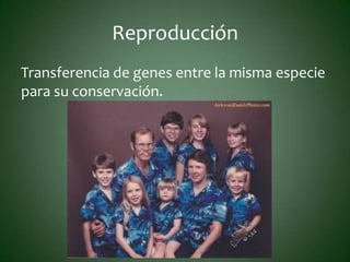 Reproducción
Transferencia de genes entre la misma especie
para su conservación.
 
