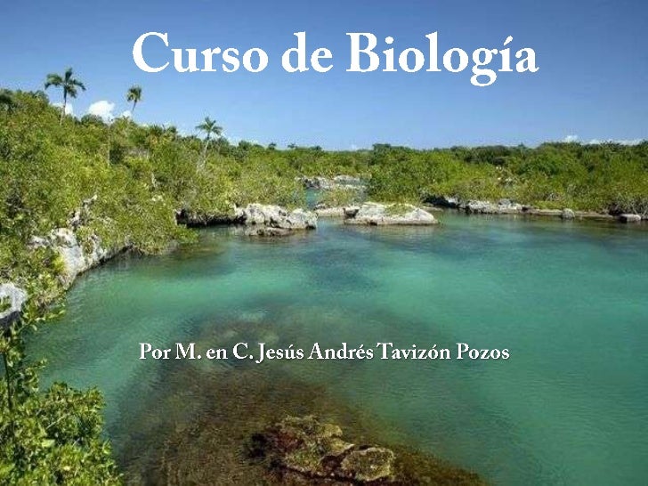 Cursos relacionados a biologia