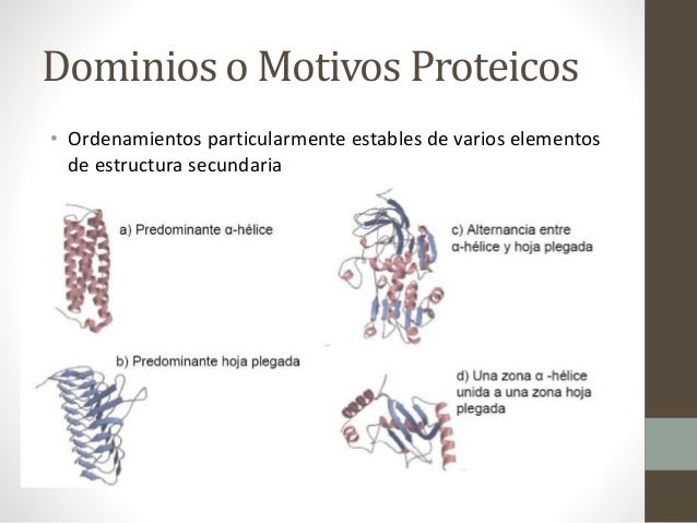 Curso Bioquímica 09-Proteínas