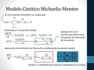 Curso De Bioquimica 12 Cinetica Enzimatica