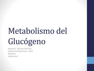 Metabolismo del
Glucógeno
Antonio E. Serrano PhD. MT.
Cátedra de Bioquímica - 2012
@xideral
xideral.com
 