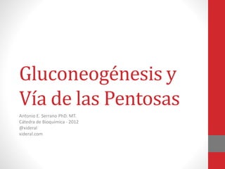 Gluconeogénesis y
Vía de las Pentosas
Antonio E. Serrano PhD. MT.
Cátedra de Bioquímica - 2012
@xideral
xideral.com
 