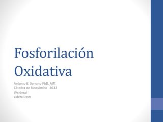 Fosforilación
Oxidativa
Antonio E. Serrano PhD. MT.
Cátedra de Bioquímica - 2012
@xideral
xideral.com
 
