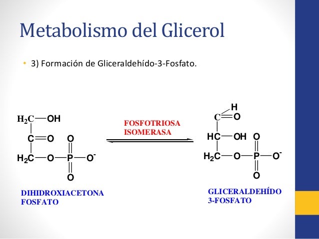 la dieta del metabolismo acelerado pdf - Información general Un
