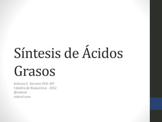 Síntesis de Ácidos
Grasos
Antonio E. Serrano PhD. MT.
Cátedra de Bioquímica - 2012
@xideral
xideral.com
 