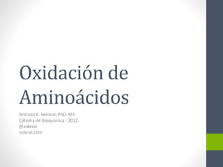 Oxidación de
Aminoácidos
Antonio E. Serrano PhD. MT.
Cátedra de Bioquímica - 2012
@xideral
xideral.com
 
