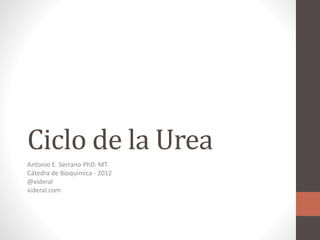 Ciclo de la Urea
Antonio E. Serrano PhD. MT.
Cátedra de Bioquímica - 2012
@xideral
xideral.com
 