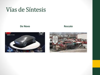 Vías de Síntesis
De Novo Rescate
 