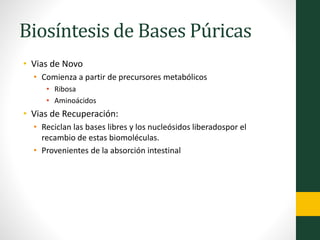 Biosíntesis de Bases Púricas
• Vias de Novo
• Comienza a partir de precursores metabólicos
• Ribosa
• Aminoácidos
• Vias de Recuperación:
• Reciclan las bases libres y los nucleósidos liberadospor el
recambio de estas biomoléculas.
• Provenientes de la absorción intestinal
 