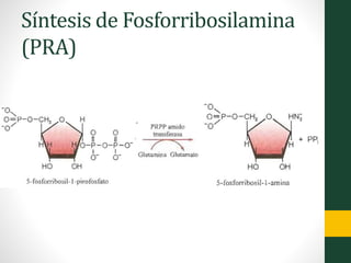 Síntesis de Fosforribosilamina
(PRA)
 
