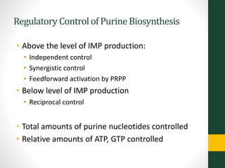 Regulatory Control of PurineBiosynthesis
• Above the level of IMP production:
• Independent control
• Synergistic control
• Feedforward activation by PRPP
• Below level of IMP production
• Reciprocal control
• Total amounts of purine nucleotides controlled
• Relative amounts of ATP, GTP controlled
 