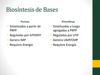 Biosíntesis de Bases
Purinas
• Sintetizadas a partir de
PRPP
• Reguladas por GTP/ATP
• Genera IMP
• Requiere Energía
Pirimidinas
• Sintetizadas y luego
agregadas a PRPP
• Reguladas por UTP
• Genera UMP/CMP
• Requiere Energía
 