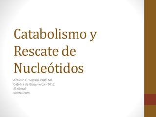Catabolismo y
Rescate de
Nucleótidos
Antonio E. Serrano PhD. MT.
Cátedra de Bioquímica - 2012
@xideral
xideral.com
 
