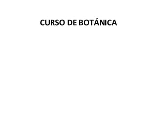 CURSO DE BOTÁNICA
 